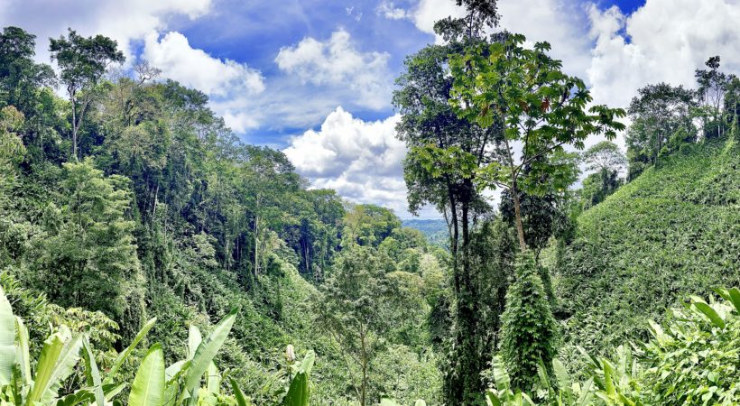 Voyage au coeur des réserves naturelles costariciennes