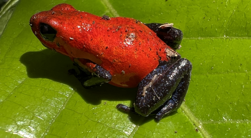 Le Costa Rica en images